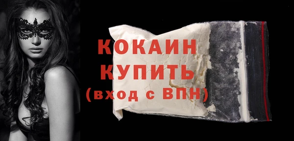 мдпв Кодинск