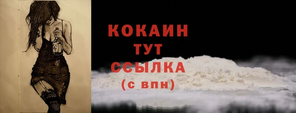 сатива Коряжма