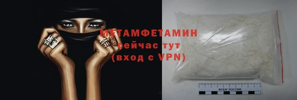 сатива Коряжма
