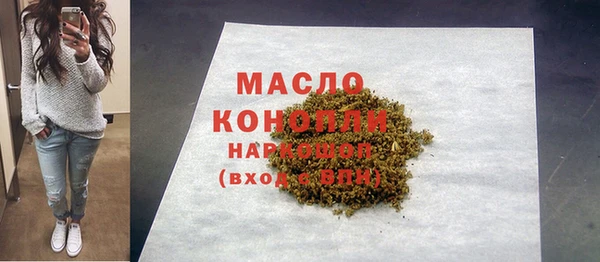 сатива Коряжма