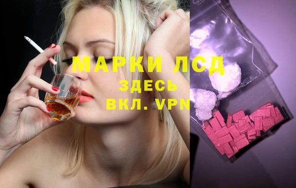 сатива Коряжма